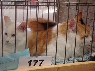20121021_115 (Expo)